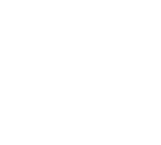 presentation
