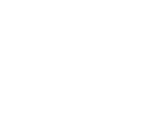 speech